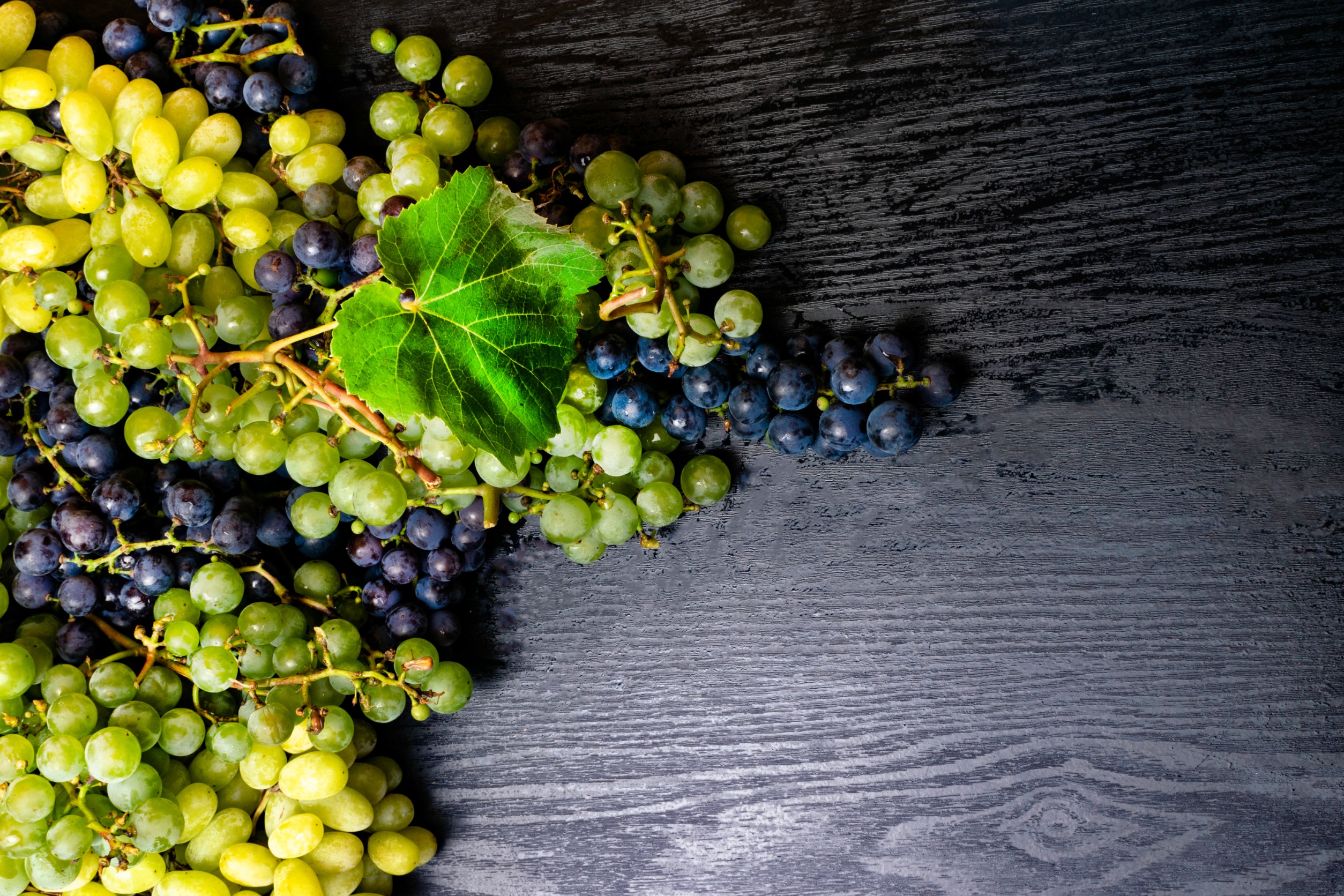 Vinná réva jako přírodní zdroj resveratrolu